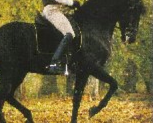 Jörn Ulrich