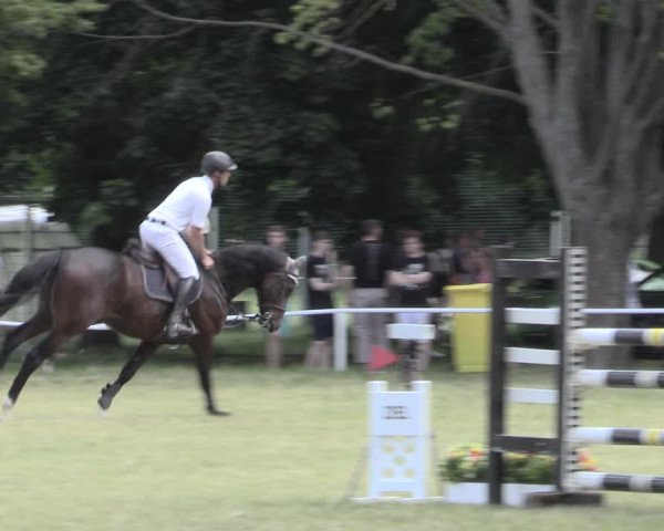 Reitturnier Schwittersdorf-Beesenstedt 2023