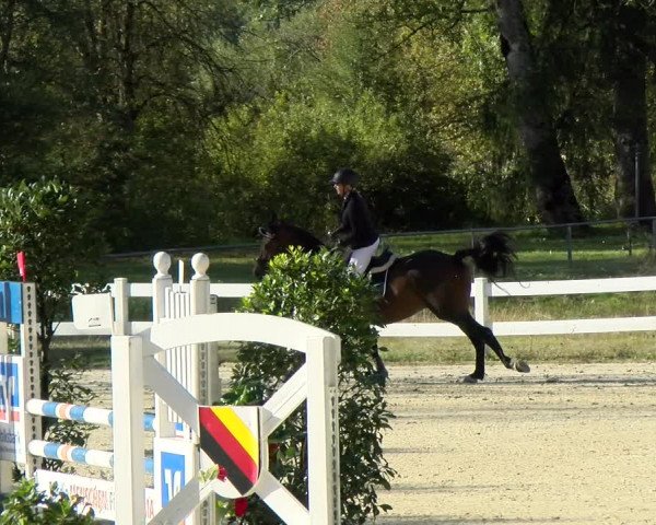 Reitturnier Isny-Rohrdorf 2021