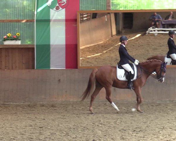 Reitturnier Schwerte 2023