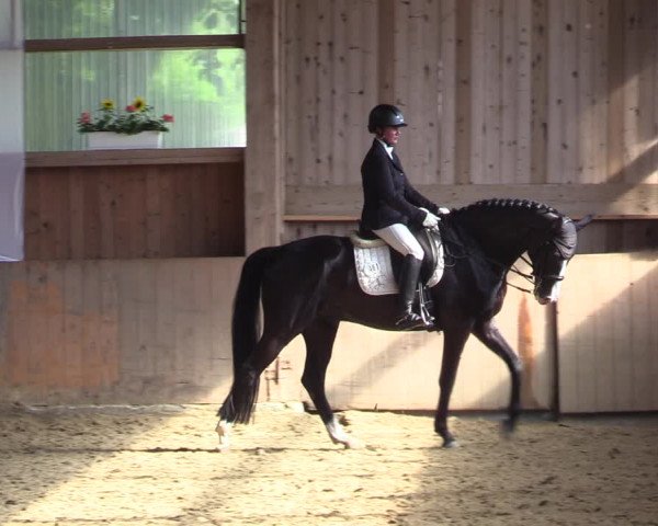 Reitturnier Schwerte 2023