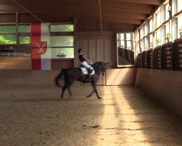 Reitturnier Schwerte 2023