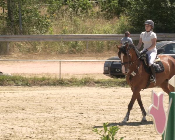 Reitturnier Heiligenwald 2023