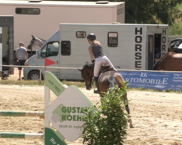 Reitturnier Heiligenwald 2023