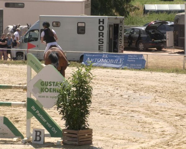 Reitturnier Heiligenwald 2023