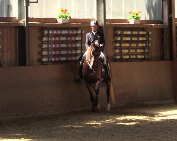 Reitturnier Schwerte 2023