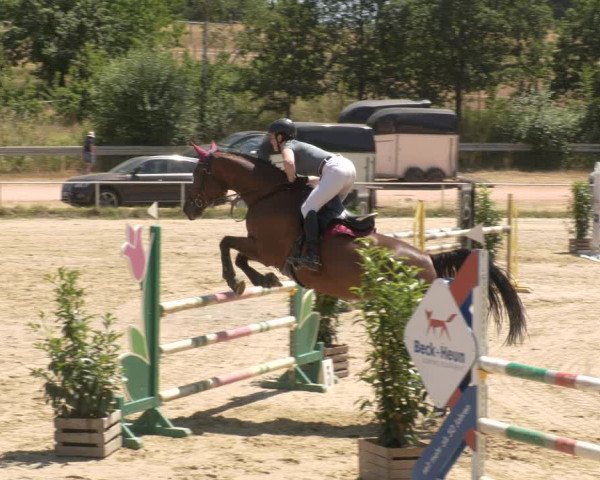 Reitturnier Heiligenwald 2023