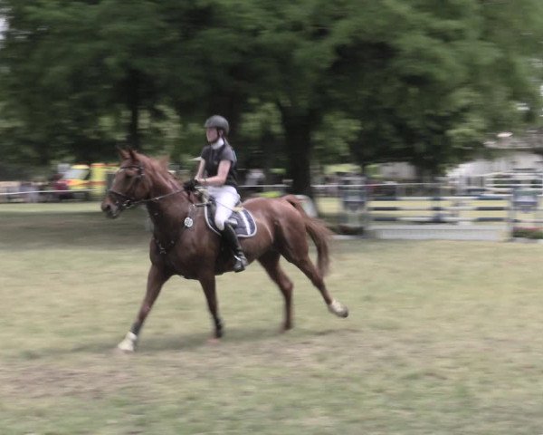 Reitturnier Schwittersdorf-Beesenstedt 2023