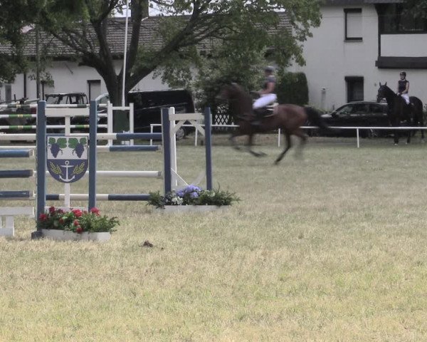 Reitturnier Schwittersdorf-Beesenstedt 2023