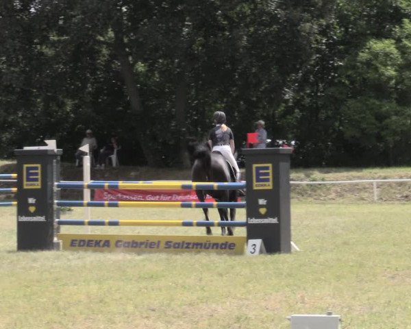 Reitturnier Schwittersdorf-Beesenstedt 2023