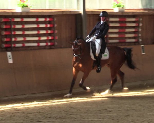 Reitturnier Schwerte 2023