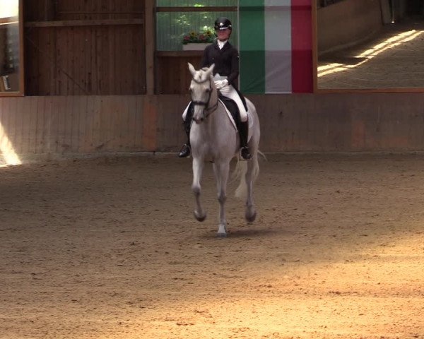 Reitturnier Schwerte 2023