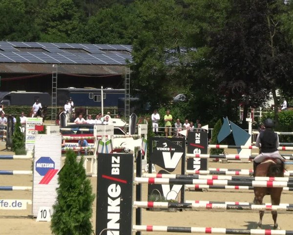 Reitturnier Schwerte 2023