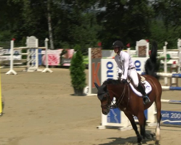Reitturnier Schwerte 2023