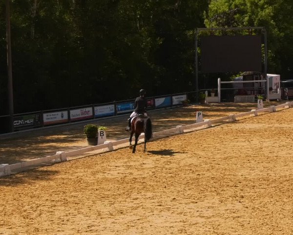 Reitturnier Uder, Reitanlage Kobold 2023