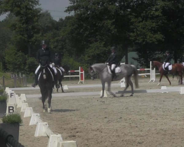 Reitturnier Handorf 2023