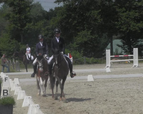 Reitturnier Handorf 2023