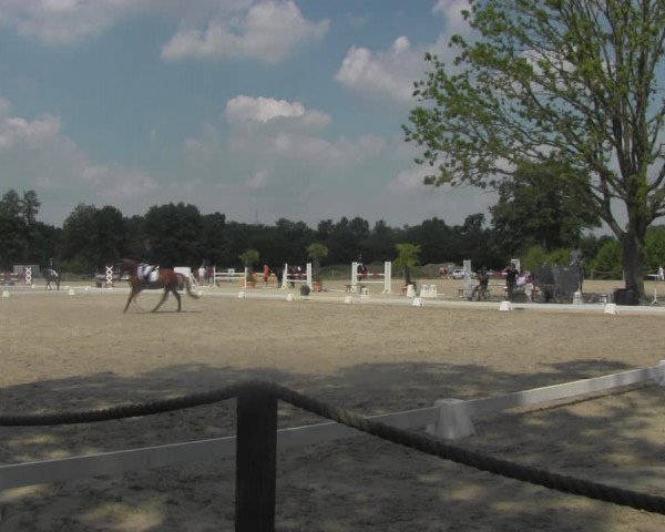 Reitturnier Handorf 2023