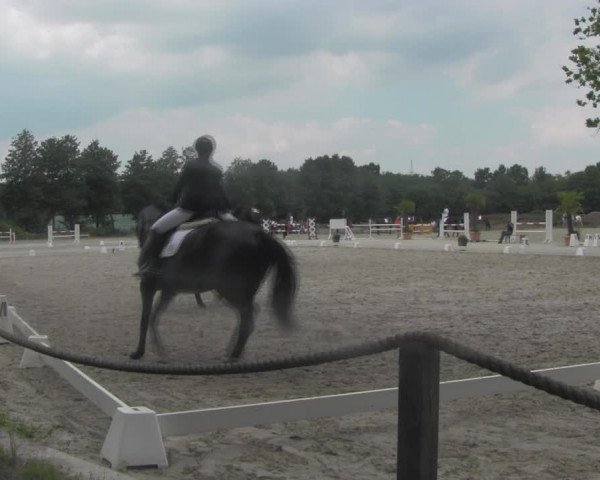 Reitturnier Handorf 2023