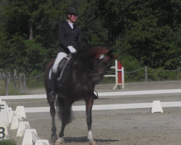 Reitturnier Handorf 2023