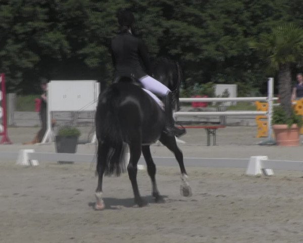 Reitturnier Handorf 2023