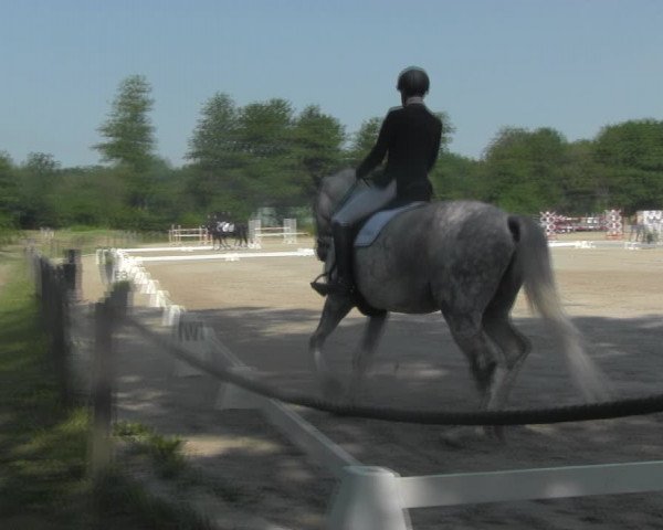 Reitturnier Handorf 2023