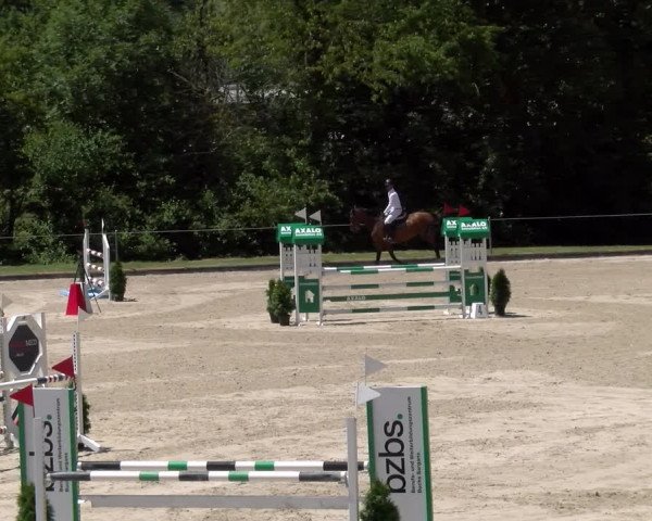 Reitturnier Maienfeld 2023