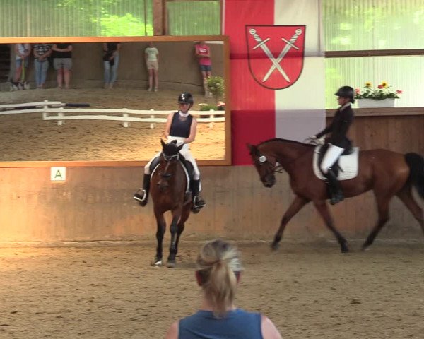 Reitturnier Schwerte 2023