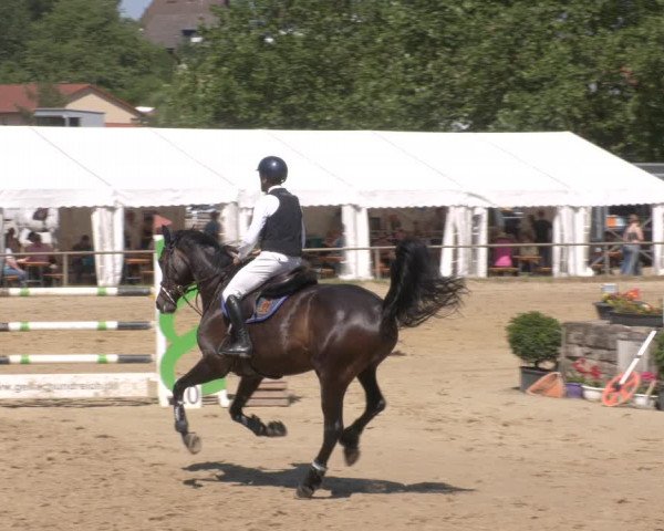 Reitturnier Heiligenwald 2023