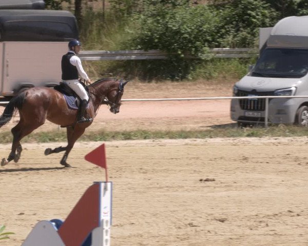 Reitturnier Heiligenwald 2023