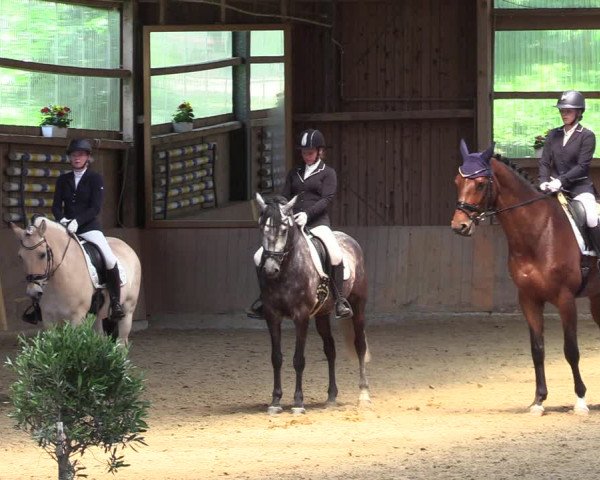 Reitturnier Schwerte 2023