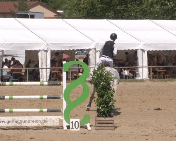 Reitturnier Heiligenwald 2023