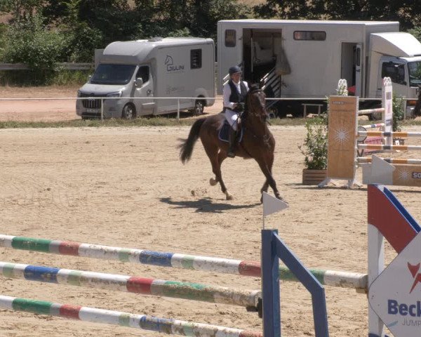 Reitturnier Heiligenwald 2023