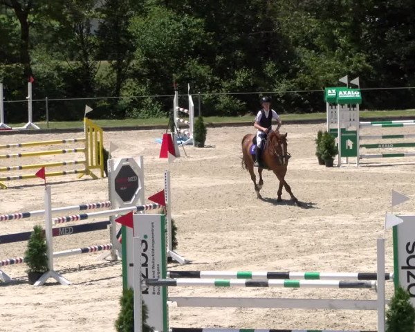Reitturnier Maienfeld 2023