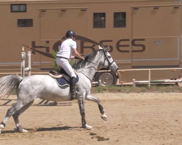 Reitturnier Heiligenwald 2023