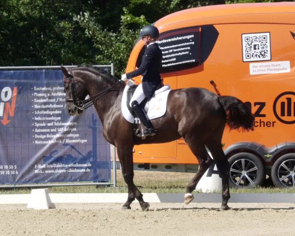 Reitturnier Heiligenwald 2023
