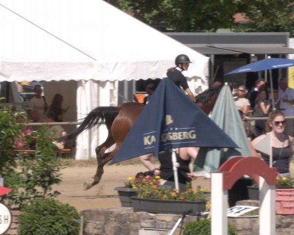 Reitturnier Heiligenwald 2023