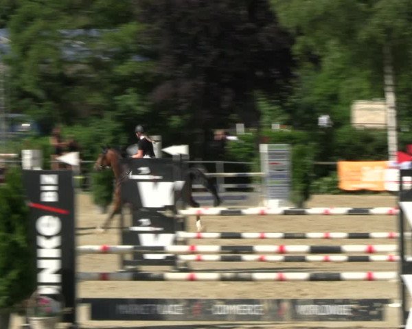 Reitturnier Schwerte 2023