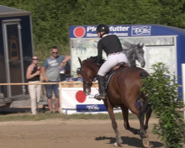 Reitturnier Heiligenwald 2023