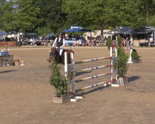 Reitturnier Heiligenwald 2023