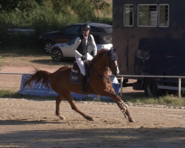 Reitturnier Heiligenwald 2023