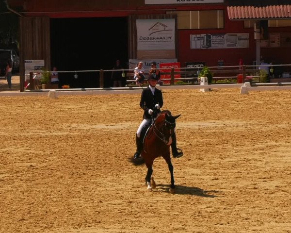 Reitturnier Uder, Reitanlage Kobold 2023