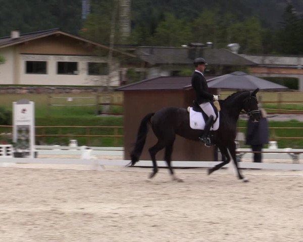 Reitturnier St. Ulrich am Pillersee 2023