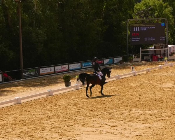 Reitturnier Uder, Reitanlage Kobold 2023