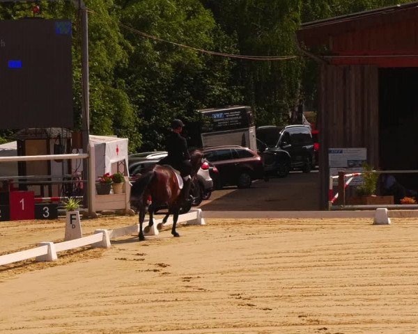 Reitturnier Uder, Reitanlage Kobold 2023