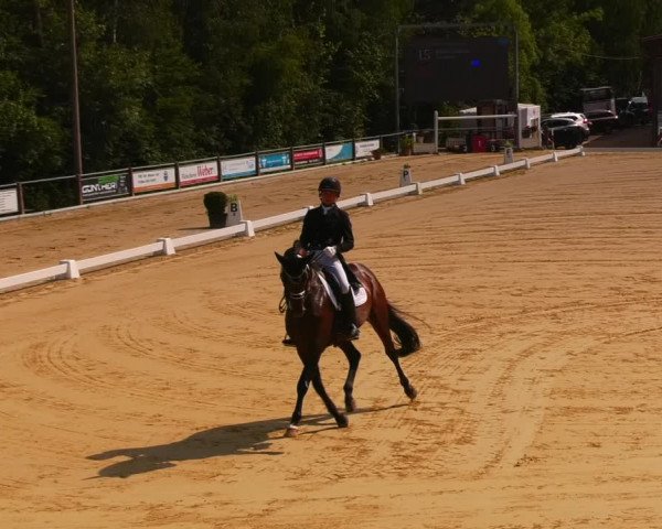 Reitturnier Uder, Reitanlage Kobold 2023