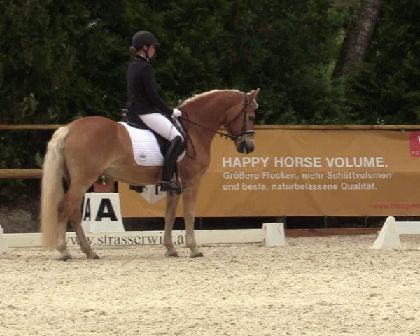 Reitturnier St. Ulrich am Pillersee 2023