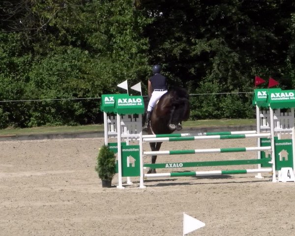 Reitturnier Maienfeld 2023