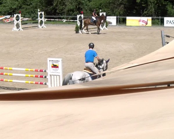 Reitturnier Maienfeld 2023