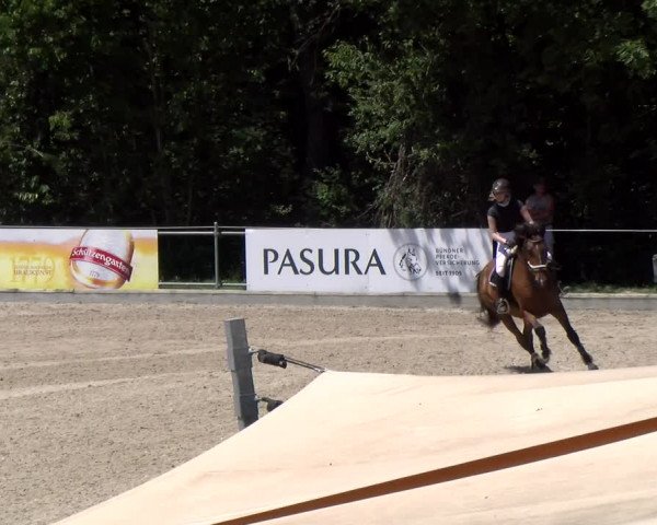 Reitturnier Maienfeld 2023
